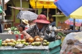 grenada, caribbean, west indie-105
